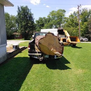 Meet your Posher, Frankie